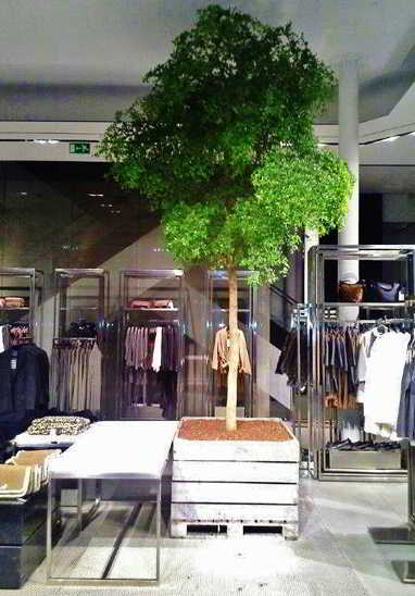 Bucida buceras black olive boutique modehaus kaufen